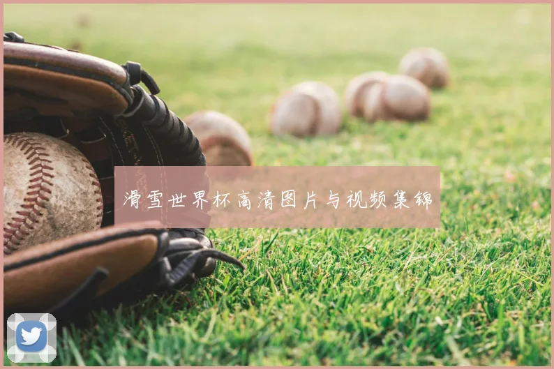 滑雪世界杯高清图片与视频集锦