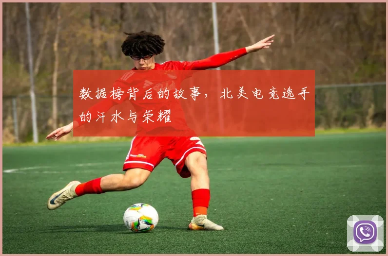 数据榜背后的故事,北美电竞选手的汗水与荣耀