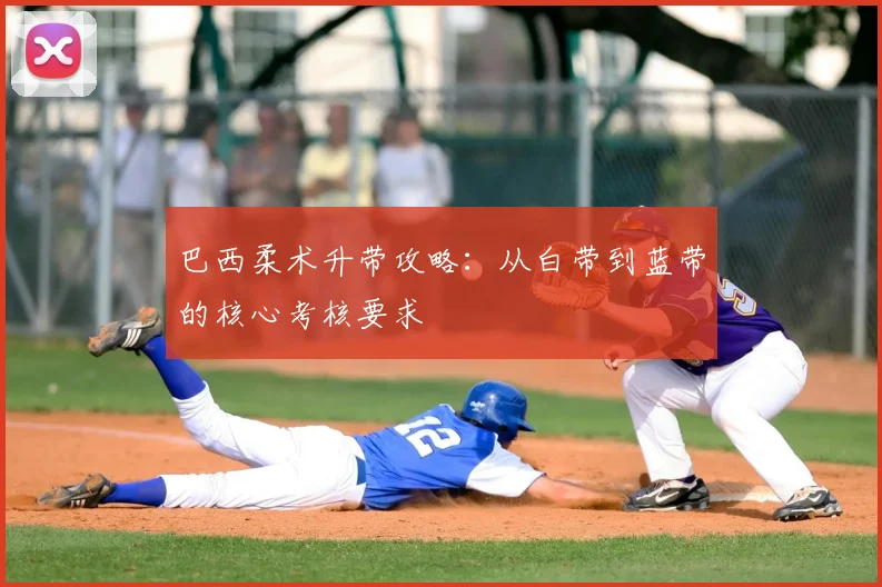 巴西柔术升带攻略:从白带到蓝带的核心考核要求