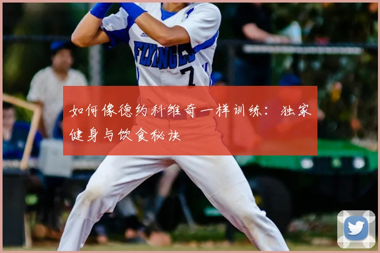 如何像德约科维奇一样训练:独家健身与饮食秘诀