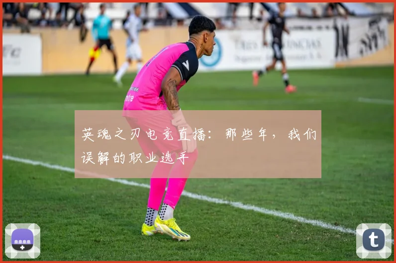 英魂之刃电竞直播:那些年,我们误解的职业选手