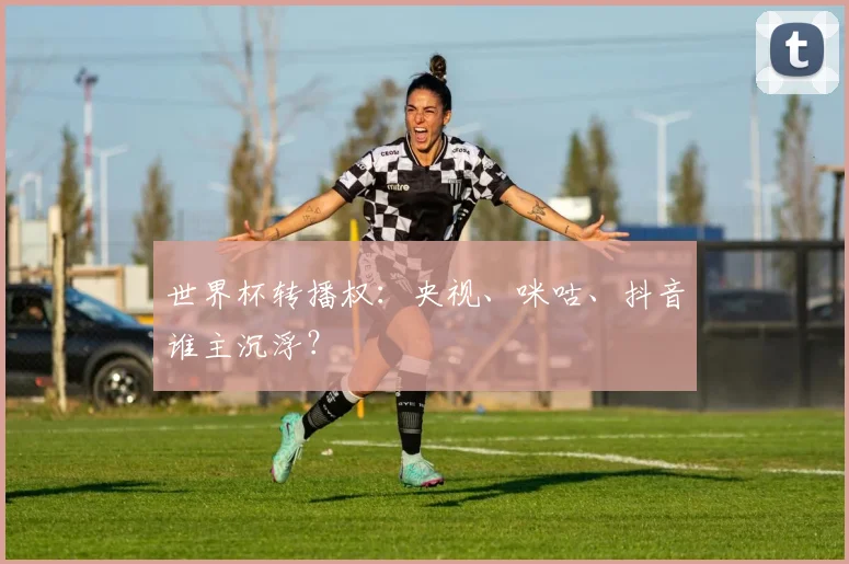 世界杯转播权:央视、咪咕、抖音谁主沉浮?